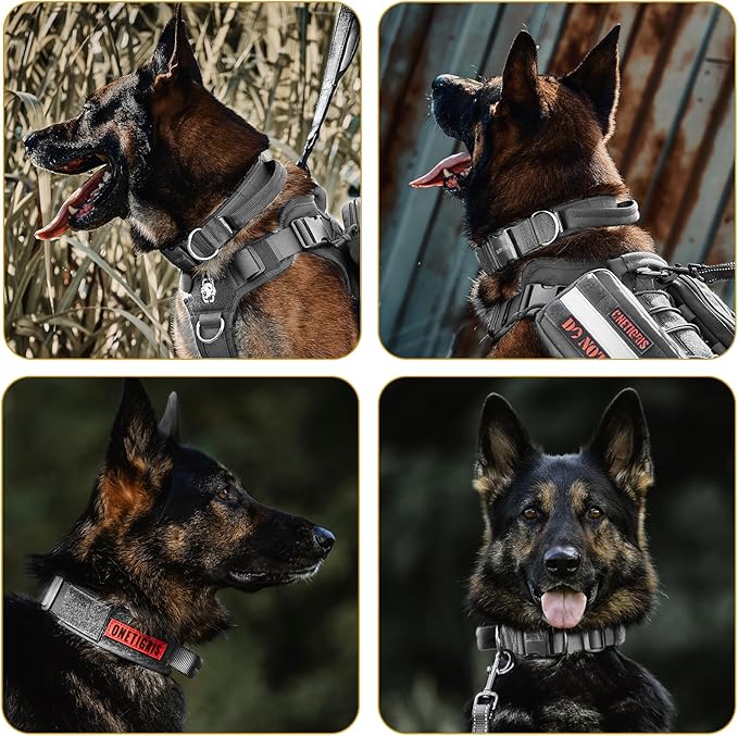 OneTigris Tough Dog Collars, Tactical Dog Collar with Handle, Milltary Adjustable Dog Collar with Heavy Duty Metal Buckle for Training (Gray, S)