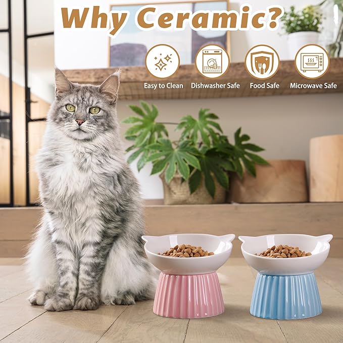 Wellbro Ceramic Raised Cat Bowl,Tilted Raised Bowl Anti Vomit Bowls for Indoor Cats Whisker Friendly Pet Feeder for Cats Puppies, Microwave and Dishwasher Safe