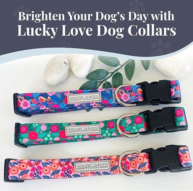 Lucky Love Dog - Adjustable Dog Collar with Easy Click Buckle for Medium, Durable, & Comfortable for Male & Female Dogs, Pet Collar for Puppies & Adult Dogs - Rosie, Medium