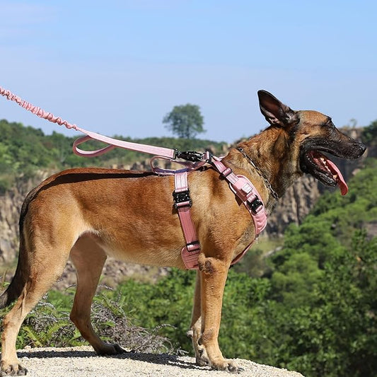 ICEFANG Dog Strap Harness with All-Metal Hardware,for Medium Sized Dog,K9 Vest,Y-Shape Soft Padding,Adjustable Pet Harness,No-Pull Front Leash Clip (Medium (Pack of 1), Pink)