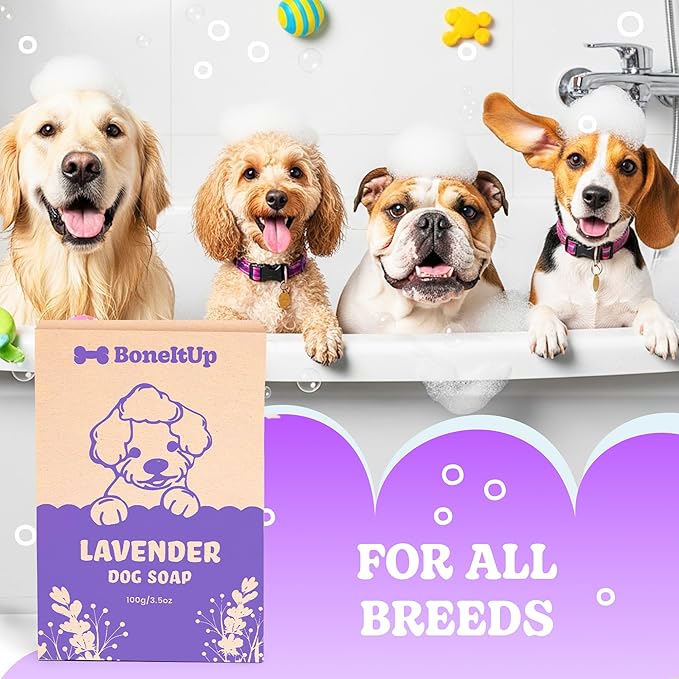 Lavender Dog Shampoo Bar 2 Pack โ Gentle Pet Soap with Mango Butter & Nourishing Oils โ Deodorizing Dog Shampoo for Smelly Dogs โ Soothing, Hydrating Puppy Soap for Sensitive Skin & Odor Control