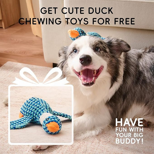 HOMEMATE Dog Bed for Extra Large Dog: 48x35 inch Orthopedic Large Dogs Bed XXL Outdoor Pet Cat Bed Sofa Supplies with Toy Dogs Crate Pad Couch with Removable Washable Cover & Non-Slip Botton Dark Grey