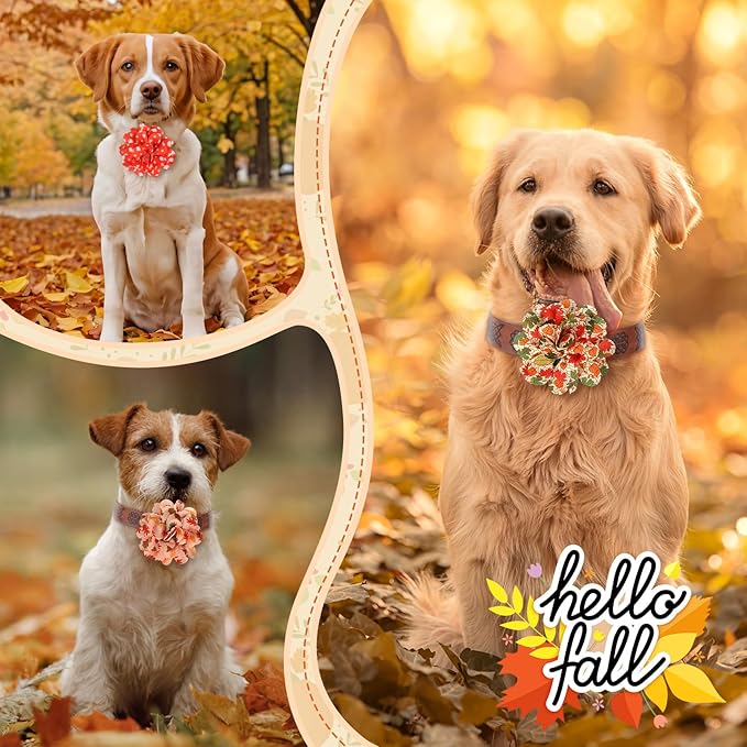50 Pieces Fall Thanksgiving Dog Collar Flowers Bulk Maple Leaves Dog Charms Grooming Accessories Bow Tie Flower for Pets Cat Collar Attachment Embellishment Autumn Party Costume Photo Props