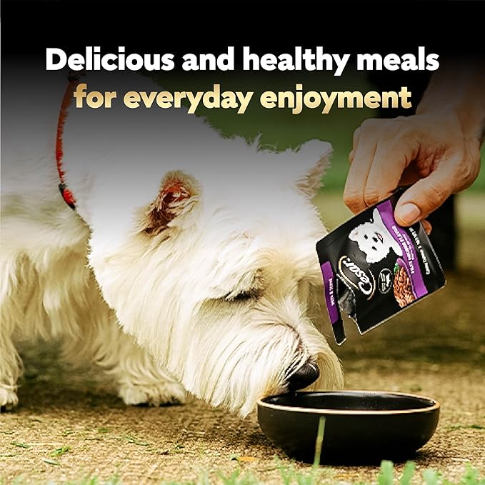 Cesar Filets in Gravy Wet Dog Food, Filet Mignon Flavor, Wet Food for Dogs, 1.76 oz. Mini-Pouches, 20 Count