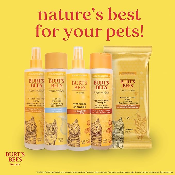 Burt's Bees for Pets Cat Dander Remover Wipes with Colloidal Oat Flour - Pet Dander Remover Cat Wipes for Allergy Relief, Dry Skin Relief for Cats and Kittens, 50 Count - 6 Pack
