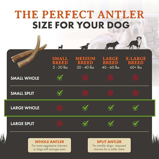 Alpha Dog Nutrition Elk Antler Chews (Large, Whole)