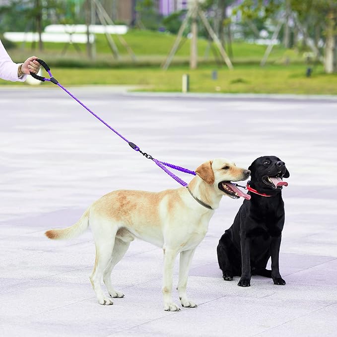 iYoShop Dual Dog Leash - 360° Swivel, No Tangle Walking Leash with Shock Absorbing Bungee for Two Dogs (Large, 25-150 lbs, Purple)
