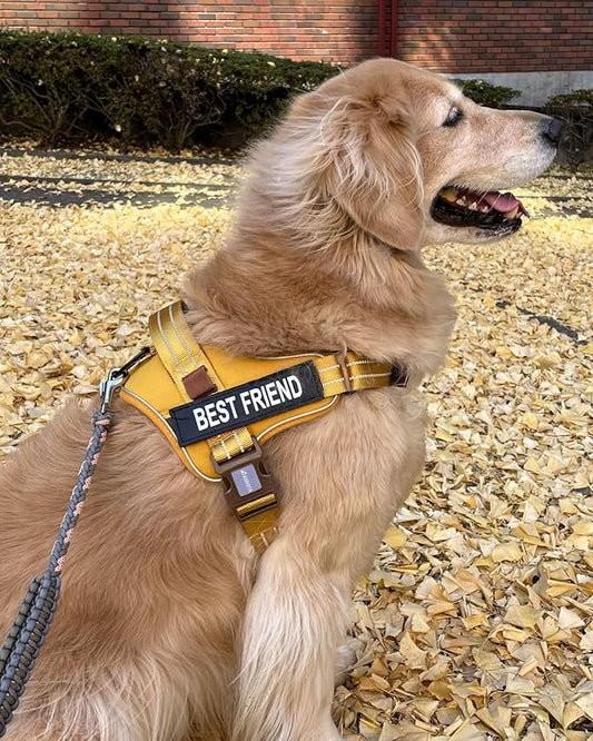 AUROTH Dog Harness and Leash Set, Soft Padded Dog Vest with 5.25FT Dog Leash, No Choke, Easy On Pet Vest, Adjustable Reflective No Pull Dog Harness for Large Dogs, Easy Walking and Training