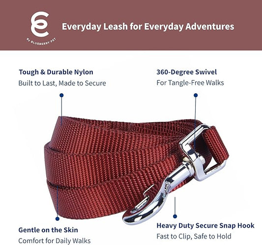Blueberry Pet Essentials Fired Brick Dog Leash for Large - 4' * 1" Dogs | Heavy Duty Nylon Lead | Lightweight Puppy & Cat Leash for Walking & Training