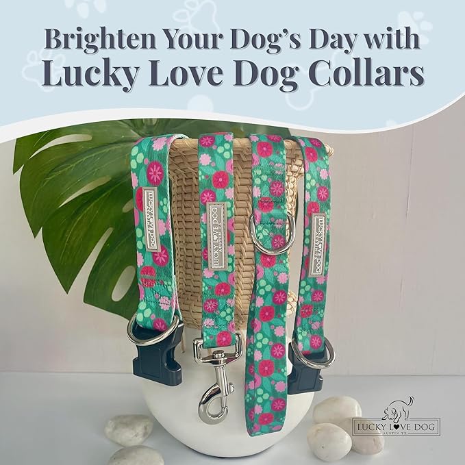 Lucky Love Dog - Adjustable Dog Collar with Easy Click Buckle for Small Dogs, Durable, & Comfortable for Male & Female Dogs, Pet Collar for Puppies & Adult Ones - Penny, Small