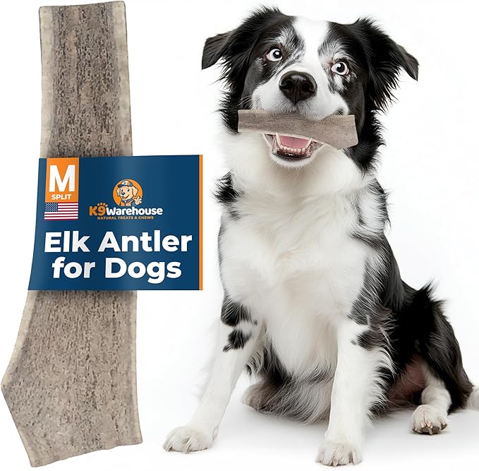 K9warehouse Natural Split Elk Antlers for Dogs - Premium Grade Dog Antler Chews - Long-Lasting Deer Antles Ideal for Aggressive Chewers - Safe USA Sourced Chew for Medium and Large Dogs - 1 Pack