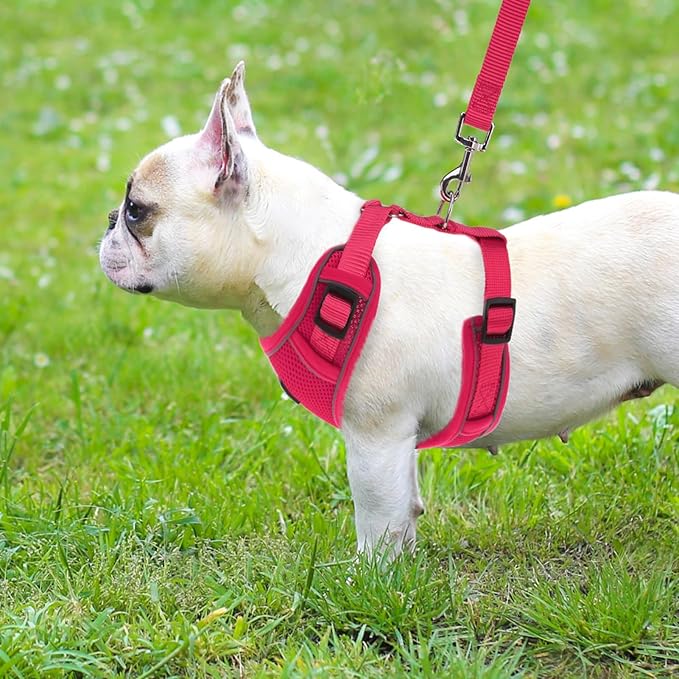 PUPTECK Small Dog Harness and Leash Set, No Pull Adjustable Puppy Cat Harness, Reflective Soft Mesh Pet Vest Small Sized, Fuchsia, XS