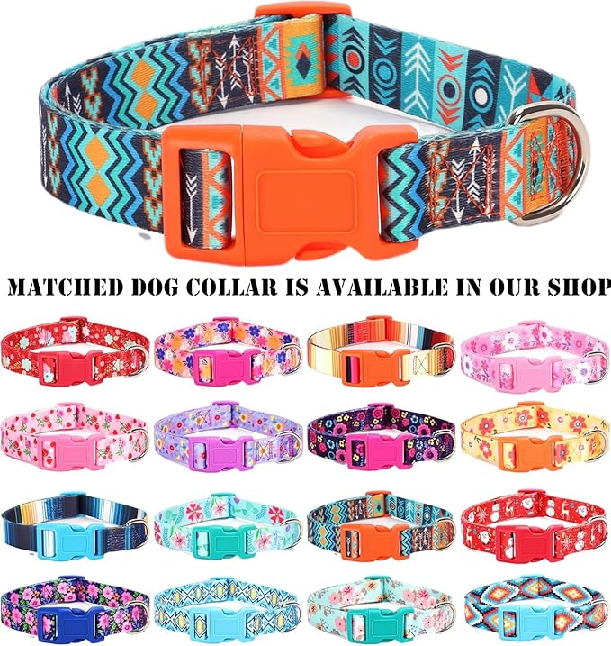 Moonpet Step in Boy Dog Harness Leash Set- All Weather Reflective No-Pull Padded Mesh Vest Harness for Cats Puppy Extra-Small Small Medium Large Dogs - Mayan Mysteries - L
