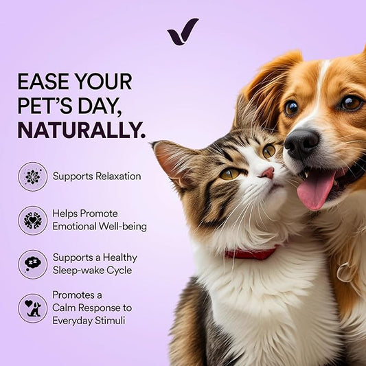 Vitricion Pet Calming Oral Strips for Dogs and Cats – 60 Strips, Fast-Acting Anxiety Support Supplement with Melatonin and L-Theanine, Natural Support for Travel, Thunder, Grooming – Blueberry Mint