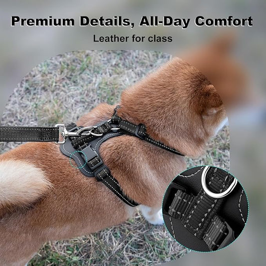 Plutus Pet Adjustable No Pull Dog Harness with Leather Accents, Heavy Duty Reflective Nylon Vest for Training, Hiking, Easy Walk Harness for Small, Medium, Large Dogs (Black, L)