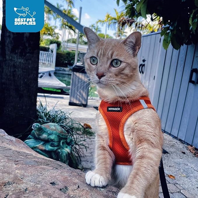 Best Pet Supplies Voyager Step-in Air Harness - All Weather Mesh, Reflective, No Pull Harness for Dogs, Cats - Secure with Hook & Loop Fastener, Buckle, Double D-Rings - Orange, XL
