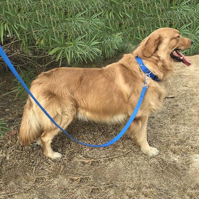 Waterproof Dog Training Leash 50FT 30FT 15FT 10FT 5FT Heavy Duty Recall Long Lead for Large Medium Small Dogs (5FT, Blue)