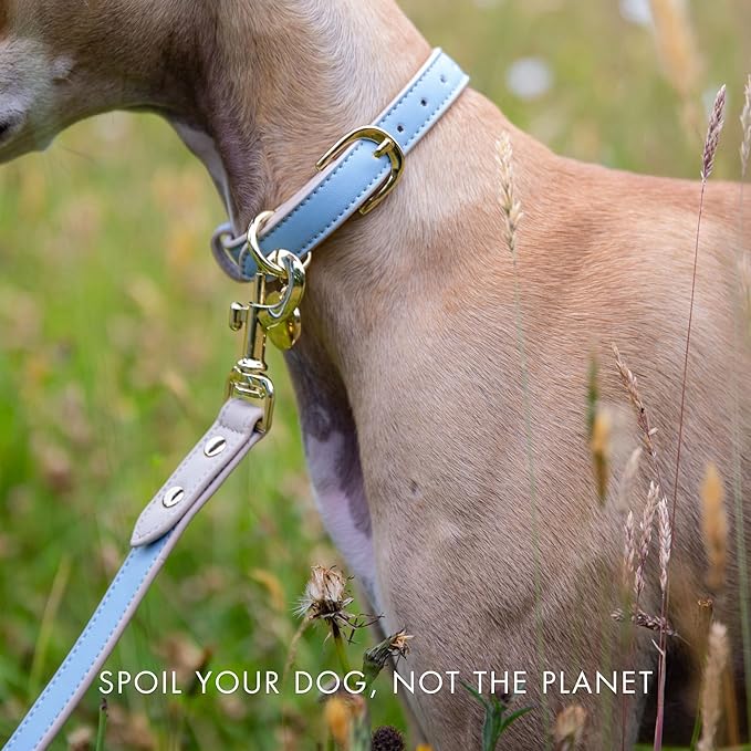 NINA WOOF Leather Dog Leash - Slim Leash with Reinforced Hardware, European Design, Blue, 4ft