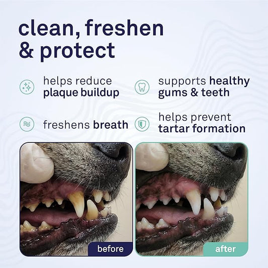 Petpost | Dental Solution for Dogs - Water Additive That Eliminates Bad Breath - Dirt, Gunk, and Tooth Buildup Gone - Natural Tooth Cleaning Solution 16 oz.