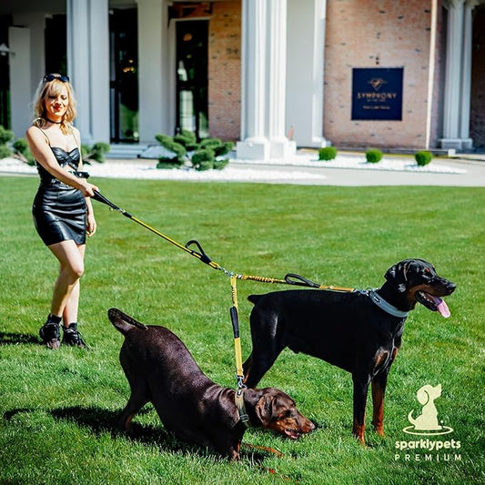 Premium Double Leash for Two Dogs – Shock Absorbing Anti Pull Double Lead for Medium & Large Breeds with Adjustable Dual Leash Attachment for 2 Dogs