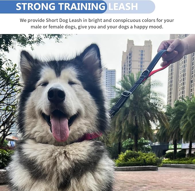 Strong Heavy Duty Dog Leash - Adjustable 15"-18" Reflective Nylon Training Leash with Padded Handle & Frog Clip, Traffic Control for Large Medium Dogs No Pull Walking Black Red
