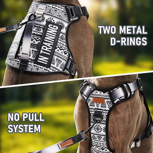 Tactical Dog Harness for Medium Large Dogs, No Pull Pet Harness with 2 Leash Clips, Adjustable Soft Padded Dog Vest, Reflective Pet Oxford Vest with Easy Control Handle, Black Ethnic M