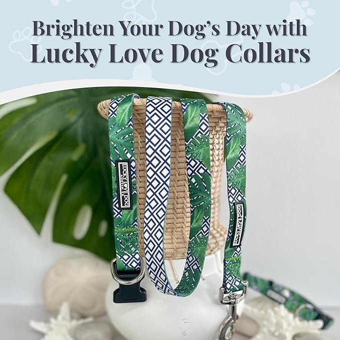 Lucky Love Dog Collar and Leash Set, Beautiful & Vivid Patterns, Easy On & Off Clasp Accessory (Blue Laguna, XS Combo)