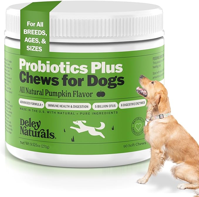 Deley Naturals Probiotics Plus Chews for Dogs, Gut Health Supplement, 5 Billion CFU's, Digestive Enzymes, Prebiotics, Dog Allergies, Diarrhea, Yeast, Pumpkin Flavor, 90 Count - Made in The USA
