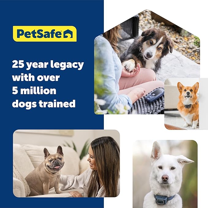 PetSafe Basic Dog Trainer with Remote - Effective Dog Training - 15 Levels of Static Correction - Waterproof Collar - Rechargeable Training Collar - Compact Remote Transmitter