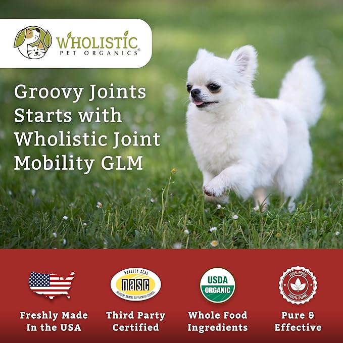 Wholistic Pet Organics - Hip and Joint Supplement for Dogs & Cats - Cat & Dog Joint Supplement - Green Lipped Mussels, Glucosamine, Chondroitin for Dogs & Cat Mobility Support - 1 Lb - 45 Scoops