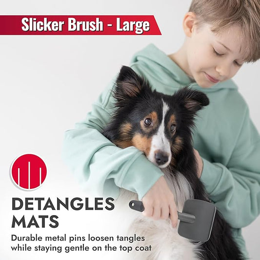 KONG Large Slicker Brush – Removes Loose Hair, Reduces Shedding, Comfortable Non-Slip Grip, Long Metal Pins, for Medium to Large Dogs with Medium to Long Coats, Red/Gray