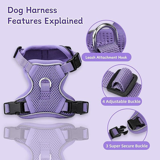 Small Dog Harness and Leash Set, Reflective Soft Breathable Mesh Vest, 3 Buckles, Adjustable Neck and Chest,Step in Dog Harness for Walking, Running, Training, Purple, M