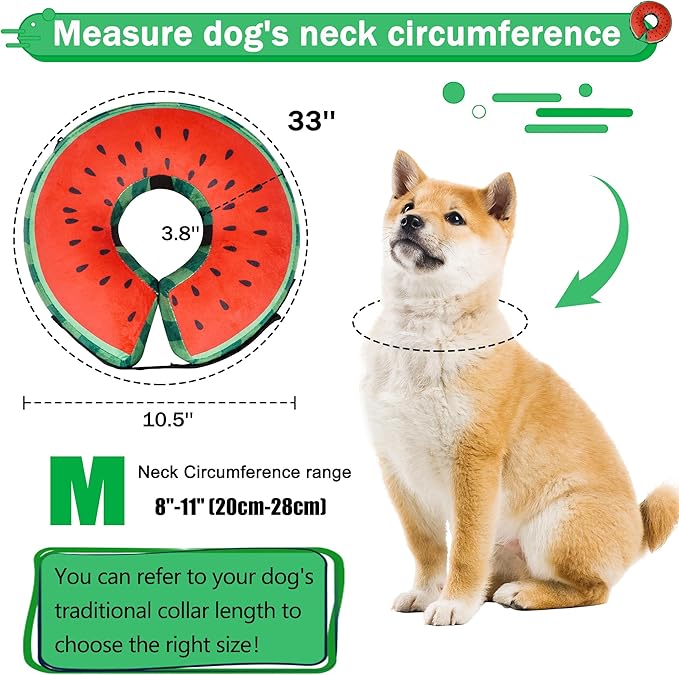 Recovery Donut Collar for Dogs & Cat,Inflatable Dog Collar Alternative After Surgery,Soft Cone for Large Medium Small Pet(Watermelon,Medium)