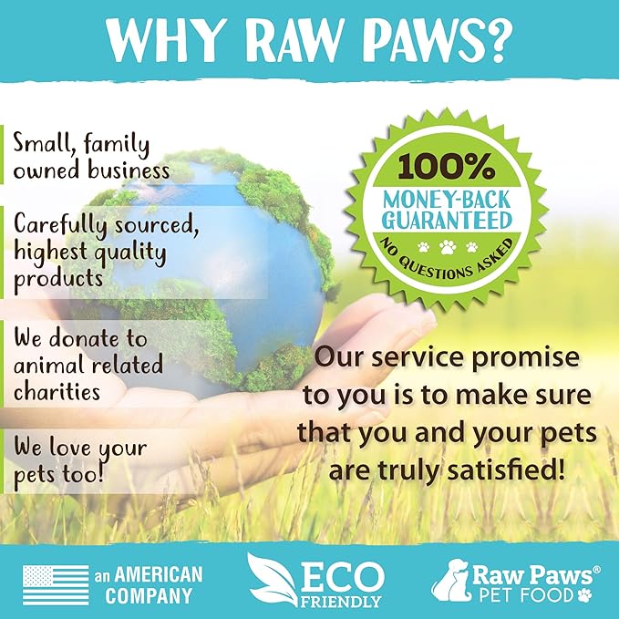 Raw Paws Lamb Pizzle Twists for Dogs, 5-9-Inch (10-Count) - USA Packed Natural Lamb Pizzle Sticks - Free-Range, Digestible Alternative Bully Sticks - Grain-Free Twist Dog Chew - Single Ingredient