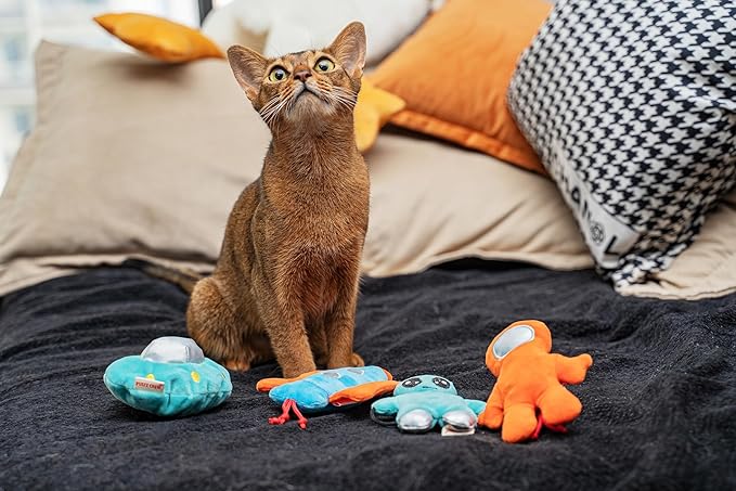 Interactive Catnip Cat Plush Toy, Space Travel Theme, 5‘’, for All Breed Size Cats (4 in 1)