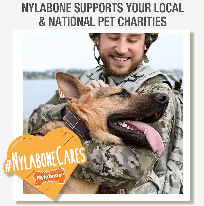 Nylabone Nutri Dent Dog Dental Chews, Natural Teeth Cleaning Dental Treats & Breath Freshener for Dogs, Filet Mignon Flavor, Medium (40 Count)