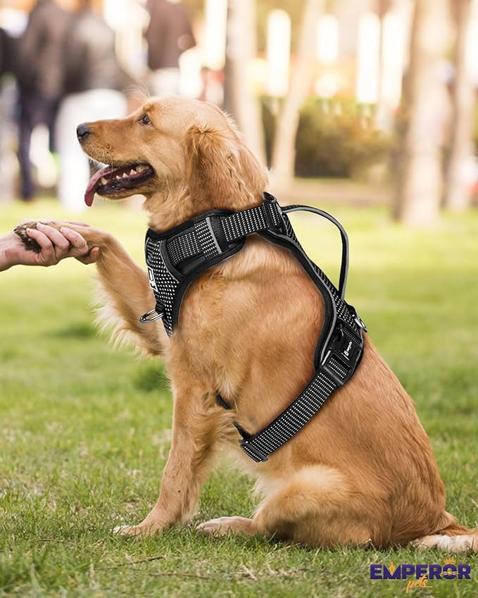 Emperor Pets Black Reflective Dog Harness Small Sized Dog - No Pull Dog Harness with 2 Leash Clips, Premium Oxford Soft Padded Puppy Harness, No Choke Design, Small Dog Harness (S, Black)