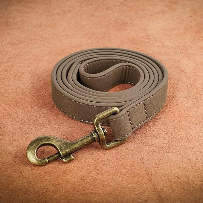 Didog PU Leather Dog Leash, Colorful Heavy Duty Dog Leash 4ft, Strong and Durable Faux Leather Lead, Walking and Training Lead for Small Medium Dogs,Brown