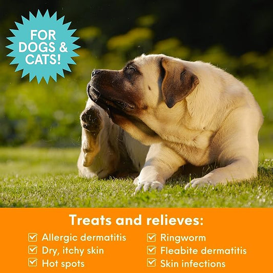Nootie Medicated Pet Shampoo, Chlorhexidine Dog Shampoo for Itch Relief, Sold in over 5,000 Vet Clinics & Pet Stores Worldwide- 16oz