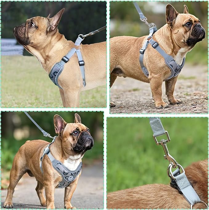 Dog Harness with Leash Set, Adjustable Step in Dog Harness with Breathable Padded Vest for Small Training (XS, Gray with Circle)