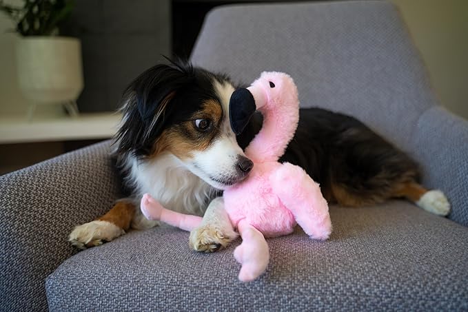 Flourish Pets 3 in 1 Multi-Layer Chew Toy for Active Dogs | Non-Toxic BPA Free Double Stitched Soft Fabric Exterior Dog Toys | Long-Lasting Dog Plush Toys āSmall Flamingo 13.5"