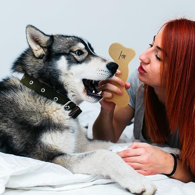 Wildfang® Leather Dog Toy, Large – Soft Dog Chew Toys for Gentle Chewers, Puppies, Senior or Older Dogs with Sensitive Teeth – Non-Toxic, Stuffless, 5mm Leather Bone for Dogs Over 33 lbs, Pack of 1
