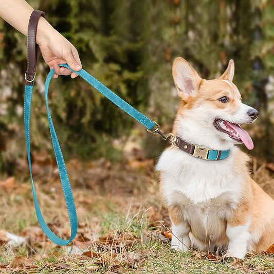 Didog PU Leather Dog Leash for Small Dogs 4.5ft, Soft Padded Handle Faux Leather Dog Leashes for Medium Dogs, Walking and Training Leashes for Large Dogs,Light Blue