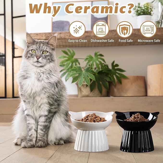 Wellbro Ceramic Raised Cat Bowl,Tilted Raised Bowl Anti Vomit Bowls for Indoor Cats Whisker Friendly Pet Feeder for Cats Puppies, Microwave and Dishwasher Safe