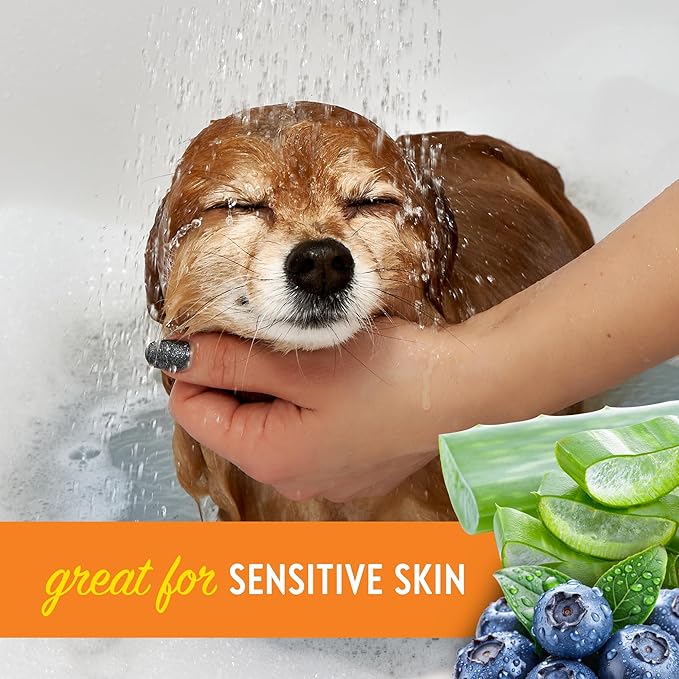 Dogtopia Blueberry Facial Cleansing Wash for Dogs (16oz) and Facial Wipes (60ct) Combo | Gently Remove Tear Stains | Remove Saliva Stains | Brighten and Whiten Coat | Daily Tear Stain Wipes