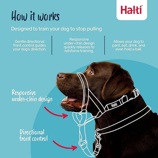 Halti Headcollar - Stop Your Dog Pulling on The Leash. Adjustable, Reflective and Lightweight, with Padded Nose Band. Dog Training Anti-Pull Collar for Medium Dogs (Size 2, Red)