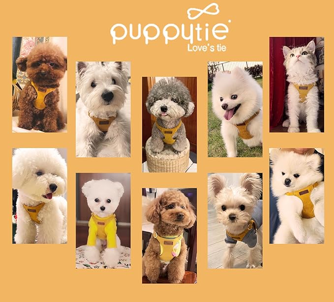 Puppytie No Pull Small Dog Harness with Multifunction Dog Leash,Lightweight Soft Adjustable No Choke Escape Proof Pet Harness Vest Pet Harness Vest,S,Yellow