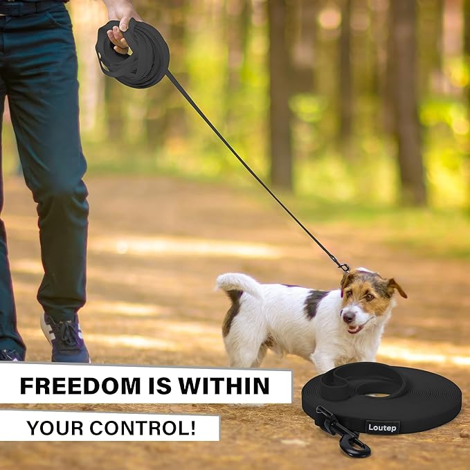 Waterproof Dog Leash 10ft, 16ft, 30ft, 50ft PVC Recall Long Line Dog Leash Beach Swimming Tracking Training Dogs Lead for Pet, Medium and Large Dogs