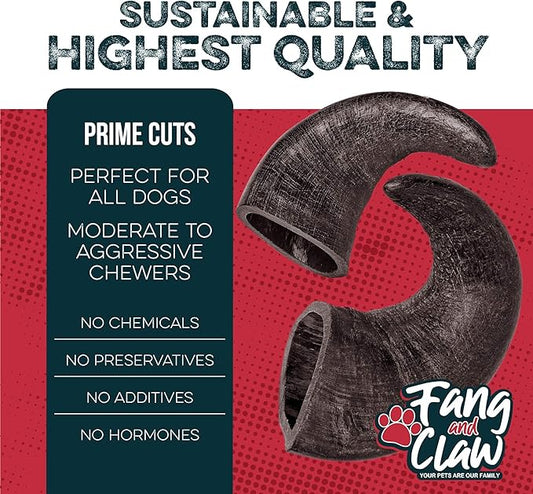 Water Buffalo Horn Dog Chew 4 Pack - Large 8" - All Natural Free Range Grass Fed Single Source Protein - No Chemicals, Additives, Hormones - Long Lasting, Good for Aggressive Chewers – by Fang & Claw