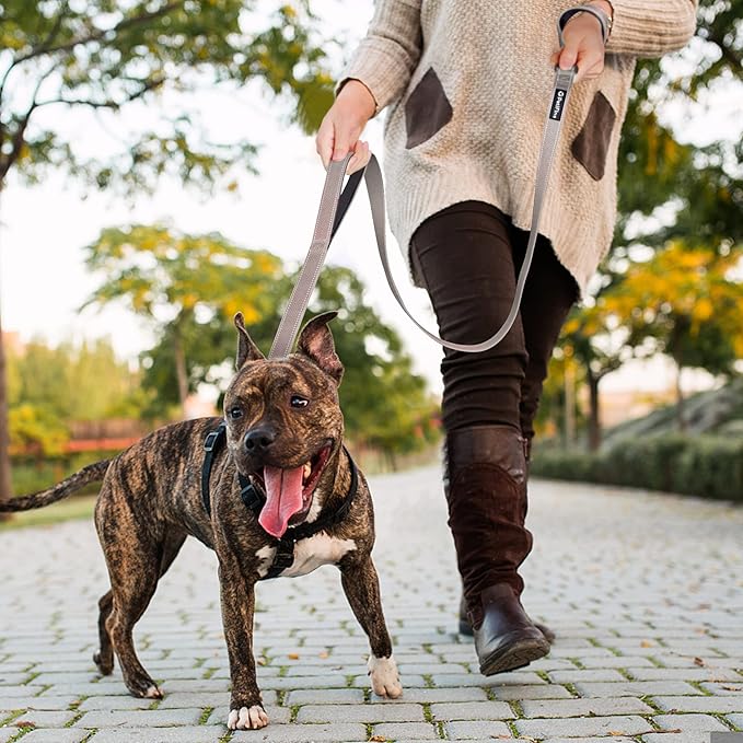 PetiFine 4FT Heavy Duty Dog Leash with Soft Padded Double Handle, Durable Strong Clasp Dog Leashes, Reflective Nylon Walking Lead for Large,Medium,Small Breed Dogs, Grey